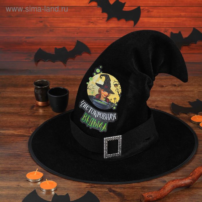 Шляпа ведьмы «Чистокровная ведьма», цвет чёрный - Фото 1