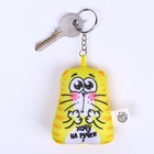 Брелок антистресс «Хочу на ручки» 7 х 7 см - Фото 2