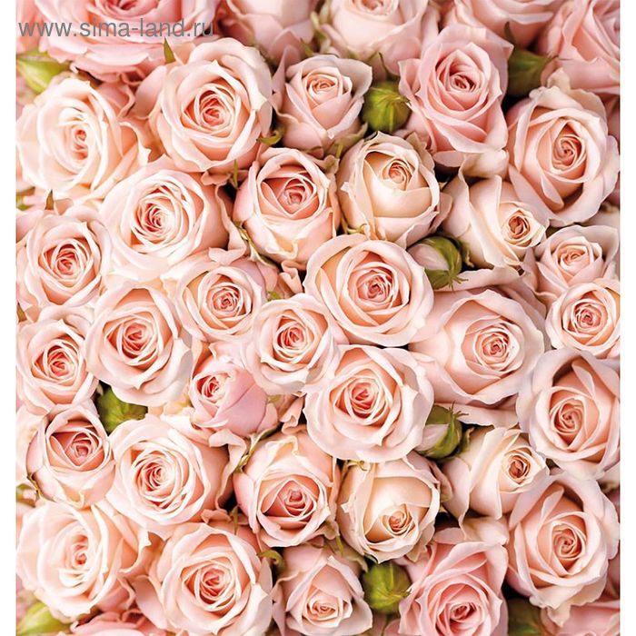 Фотообои Розы ПРЕМИУМ 194х204 см (из 6 листов) - Фото 1