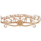 Медальница "Гимнастика" - Фото 1