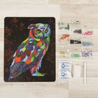 Набор для создания мозаики «Бриллиантовая сова» DIAMOND DECOR, планшетка без рамки - Фото 2