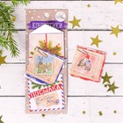 Конверты для скрапбукинга в наборе «Новогодняя посылка», 6 × 15 см - Фото 2