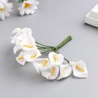 Декор для творчества "Белые каллы" (набор-букет 12 цветков) 10 см - фото 8571379