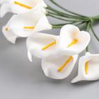 Декор для творчества "Белые каллы" (набор-букет 12 цветков) 10 см - Фото 3