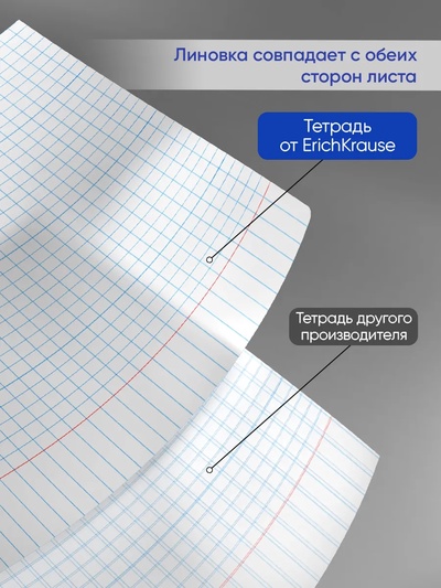 Тетрадь 24 листа в клетку, ErichKrause «Классика Visio», обложка мелованный картон, МИКС