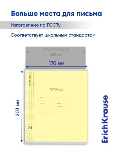 Тетрадь 24 листа в клетку, ErichKrause «Классика Visio», обложка мелованный картон, МИКС