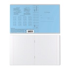 Тетрадь 24 листа в клетку, ErichKrause «Классика Visio», обложка мелованный картон, МИКС - Фото 11