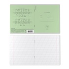 Тетрадь 12 листов в косую линейку ErichKrause «Классика», обложка мелованный картон, зелёная - Фото 7