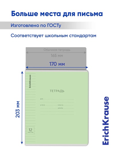 Тетрадь 12 листов в линейку «Классика с линовкой», обложка мелованный картон, блок офсет, зелёная