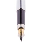 Ручка перьевая 0.8 мм, Silver Prestige, корпус хром, пластиковый футляр - Фото 2