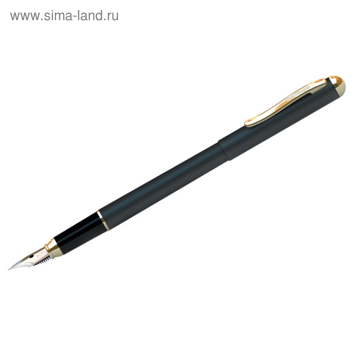 Ручка перьевая Velvet Prestige, пишущий узел 0.8 мм, корпус чёрный/золото, пластиковый футляр - Фото 1