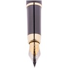 Ручка перьевая Velvet Prestige, пишущий узел 0.8 мм, корпус чёрный/золото, пластиковый футляр - Фото 2