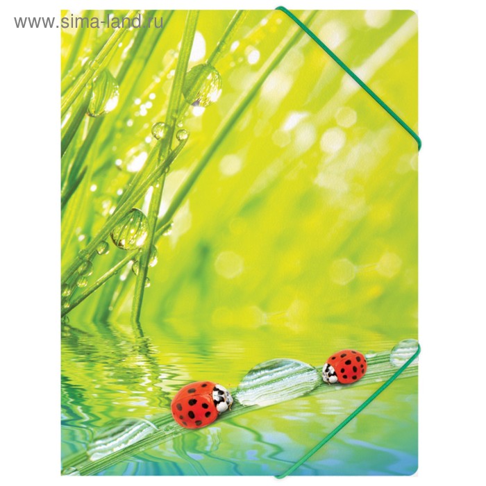 Папка на резинке Ladybird А4, 550 мкм - Фото 1