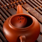Набор для чайной церемонии керамический «Иероглиф», 5 предметов: чайник 200 мл, 4 пиалы, 25 мл, цвет коричневый - Фото 5