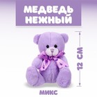 Мягкая игрушка «Медведь нежный», бант, следы, цвета МИКС - фото 319686034