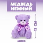 Мягкая игрушка «Медведь нежный», бант, следы, цвета МИКС - Фото 1