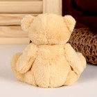 Мягкая игрушка «Медведь нежный», бант, следы, цвета МИКС - Фото 4