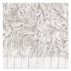 Фотофон двусторонний «Еловая ветка» картонный, 45 х 45 см, 980 г/м² - Фото 3