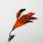 Дразнилка-удочка с перышками и бубенчиком, деревянная палочка 40 см, микс цветов - Фото 2
