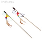 Дразнилка-удочка «Стрекоза», деревянная палочка 40 см, микс цветов - Фото 4