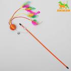 Дразнилка-удочка "Шар с перьями", микс цветов - Фото 1