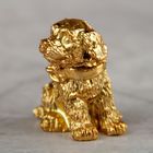 Сувенир полистоун "Маленький щеночек" золото МИКС 2,5х2,5х2 см - Фото 2