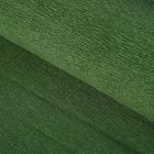 Бумага для упаковок и поделок, гофрированная, темно-зелёная, зеленая, однотонная, двусторонняя, рулон 1 шт., 50 см х 2,5 м - Фото 1
