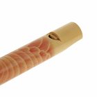 Сувенирный музыкальный инструмент «Флейта», 40×3×3 см, МИКС - Фото 3