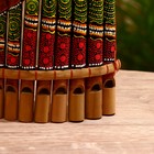 Сувенирный музыкальный инструмент «Флейта», 30×5×18 см, МИКС - Фото 2