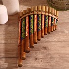 Сувенирный музыкальный инструмент «Флейта», 30×5×18 см, МИКС - Фото 11