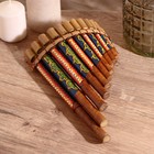 Сувенирный музыкальный инструмент «Флейта», 30×5×18 см, МИКС - Фото 8