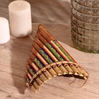 Сувенирный музыкальный инструмент «Флейта», 30×5×18 см, МИКС - Фото 9