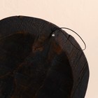 Маска дерево "Дельфины" 40х3х15 см 2028353 - фото 14652924