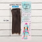Волосы - тресс для кукол «Прямые» длина волос: 15 см, ширина:100 см, цвет № 10 - фото 3803656