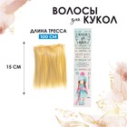 Волосы - тресс для кукол «Прямые» длина волос: 15 см, ширина:100 см, цвет № 613 - фото 317996818