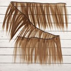Волосы - тресс для кукол «Прямые» длина волос: 15 см, ширина: 100 см, цвет № 18Т - фото 8334199