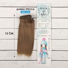 Волосы - тресс для кукол «Прямые» длина волос: 15 см, ширина:100 см, цвет № 18В - Фото 1
