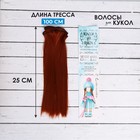 Волосы - тресс для кукол «Прямые» длина волос: 25 см, ширина: 100 см, цвет № 350 - Фото 1