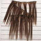 Волосы - тресс для кукол «Прямые» длина волос: 25 см, ширина:100 см, цвет № 6К - фото 8334239