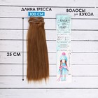 Волосы - тресс для кукол «Прямые» длина волос: 25 см, ширина: 100 см, цвет № 28 - фото 8573814