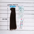 Волосы - тресс для кукол «Прямые» длина волос: 25 см, ширина: 100 см, цвет № 4 - фото 5770103