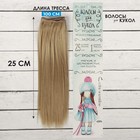 Волосы - тресс для кукол «Прямые» длина волос: 25 см, ширина:100 см, цвет № 16 - фото 297911524