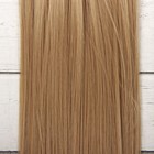Волосы - тресс для кукол «Прямые» длина волос: 25 см, ширина:100 см, цвет № 16 - фото 3803775