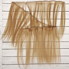 Волосы - тресс для кукол «Прямые» длина волос: 25 см, ширина:100 см, цвет № 16 - фото 3803776