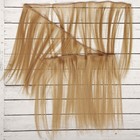 Волосы - тресс для кукол «Прямые» длина волос: 25 см, ширина:100 см, цвет № 16 - Фото 3