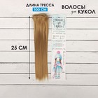 Волосы - тресс для кукол «Прямые» длина волос: 25 см, ширина:100 см, цвет № 22Т - фото 3682123
