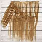Волосы - тресс для кукол «Прямые» длина волос: 25 см, ширина:100 см, цвет № 22Т - Фото 2