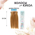 Волосы-тресс для кукол «Прямые» длина волос: 25 см, ширина: 100 см, цвет № 27 - фото 5770119
