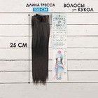 Волосы - тресс для кукол «Прямые» длина волос: 25 см, ширина: 100 см, цвет № 2В - фото 3803790