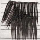 Волосы - тресс для кукол «Прямые» длина волос: 25 см, ширина: 100 см, цвет № 2В - фото 8334283